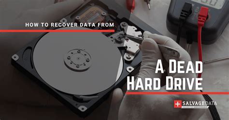 how to test if a hard drive is dead|retrieve data from dead hdd.